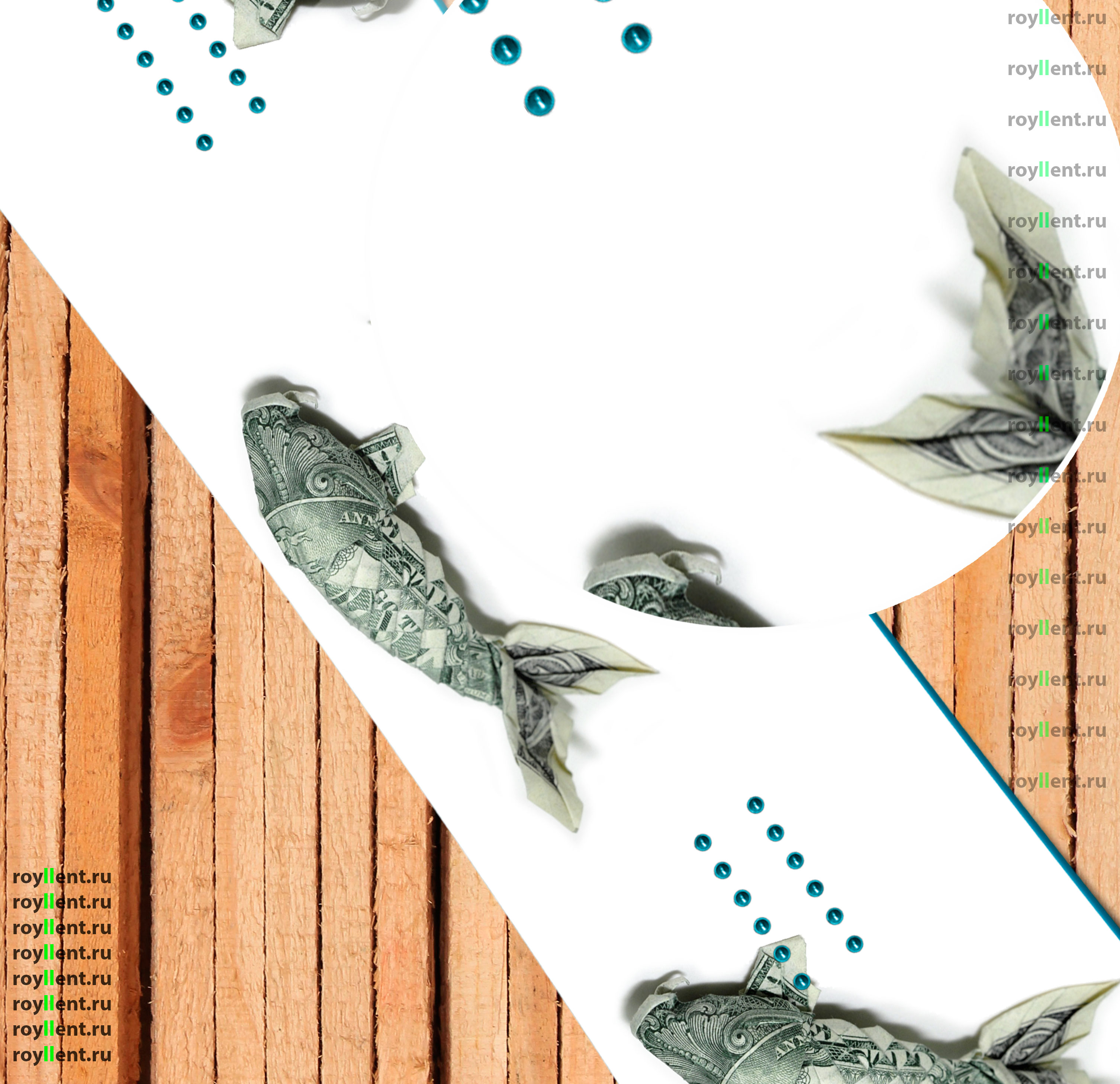 Дизайн сноуборда в стиле доллара рыбки приносит удачу