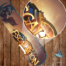 Виниловая наклейка WOW escaltion
